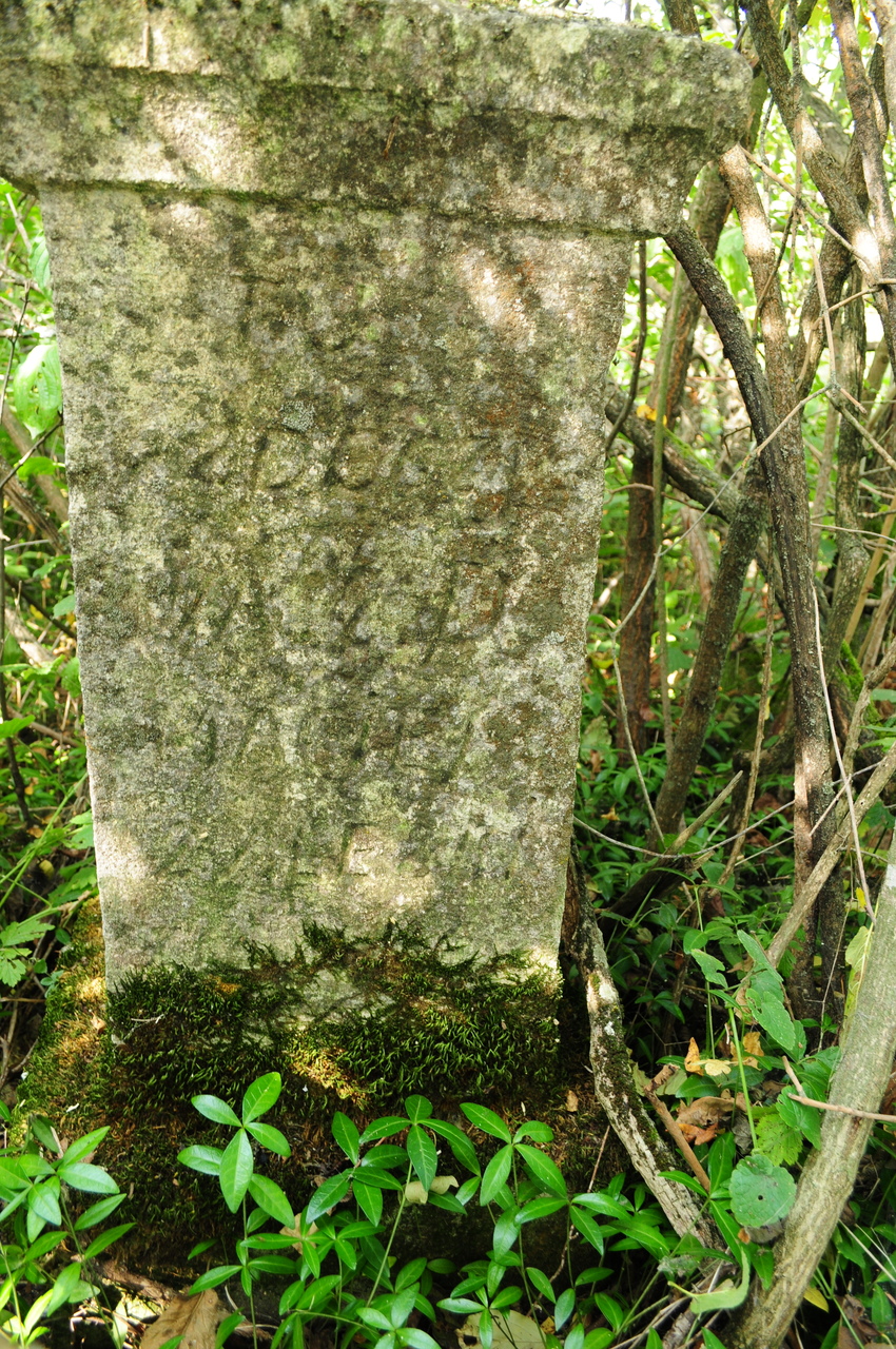 Tombstone of Maciej Zaleski, Czerwonogród cemetery, state from 2005