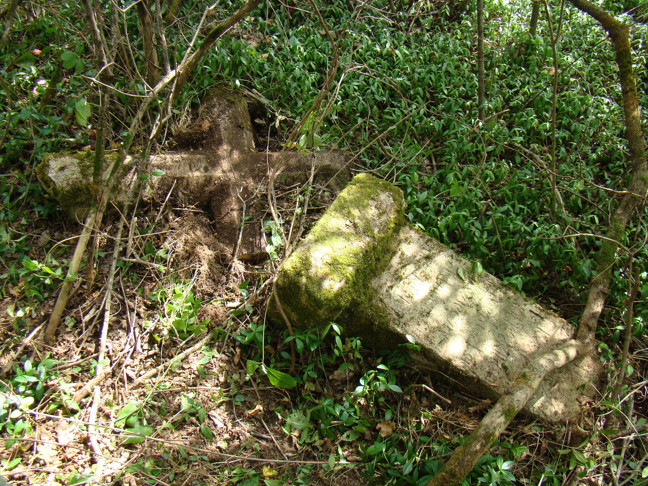 Tombstone of Stanisław Ziółkowski, Czerwonogród cemetery, state from 2005