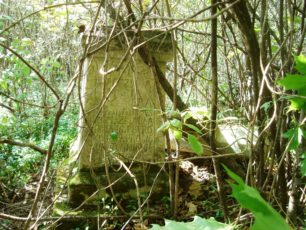 Tombstone of Maria [...]t[...]era, Czerwonogroda cemetery, state from 2005