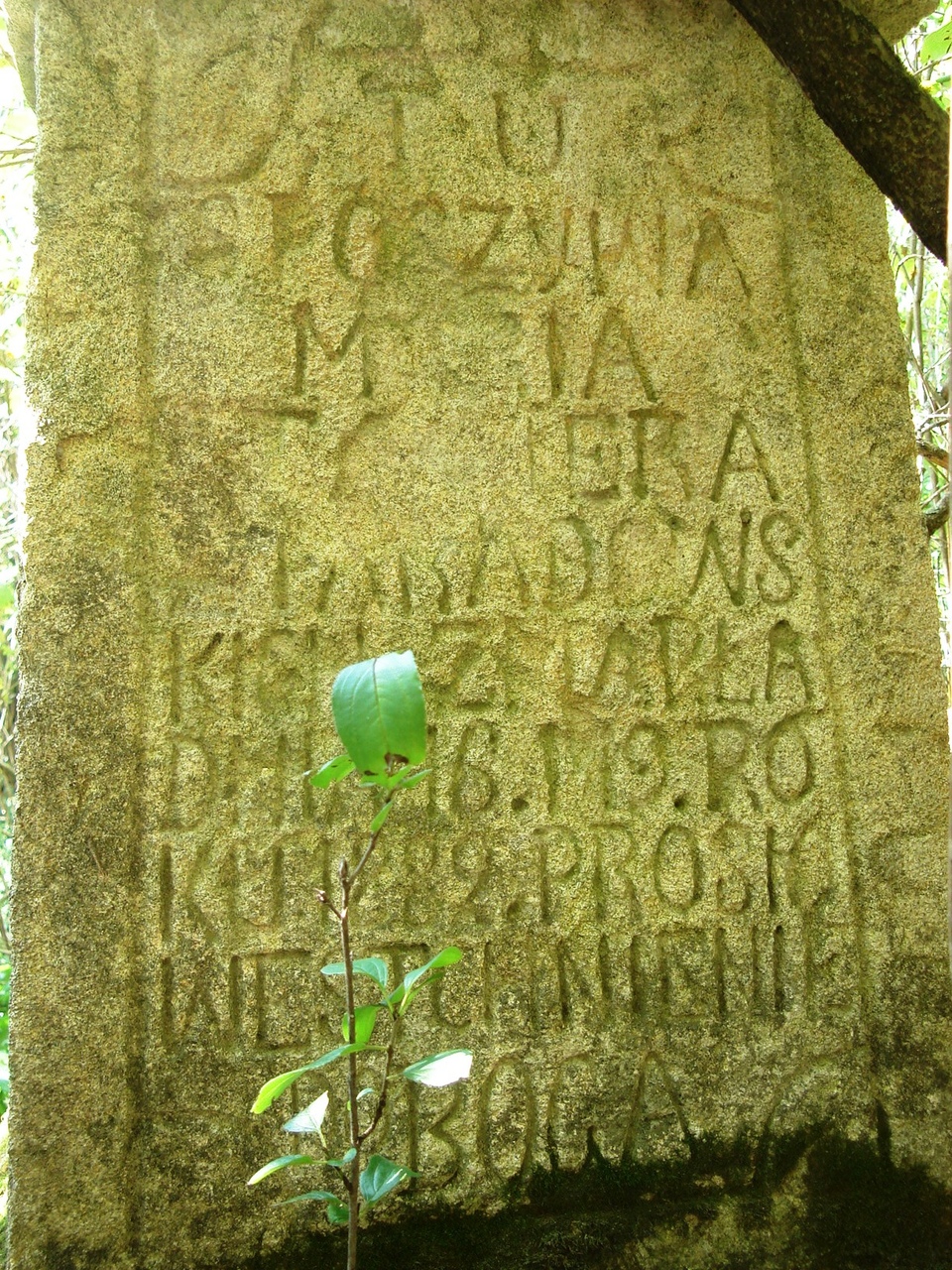 Nagrobek Marii […]t[…]era, cmentarz w Czerwonogrodzie, stan z roku 2005