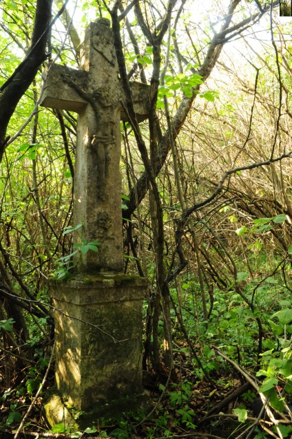 Nagrobek Pauliny [...], cmentarz w Czerwonogrodzie, stan z roku 2005