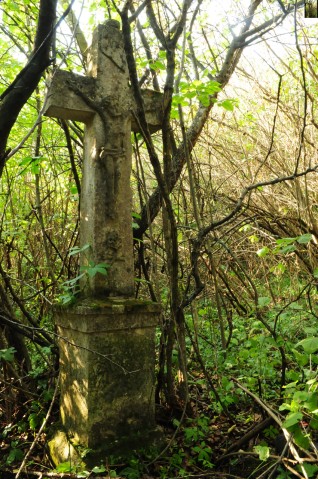 Nagrobek Pauliny [...], cmentarz w Czerwonogrodzie, stan z roku 2005