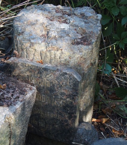 Nagrobek Emilii […]mowicz