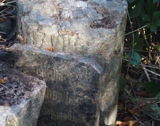 Nagrobek Emilii […]mowicz