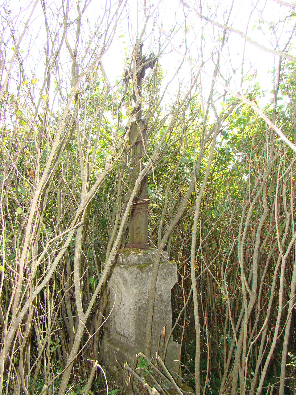 Grobowiec N.N., cmentarz w Czerwonogrodzie, stan z roku 2005