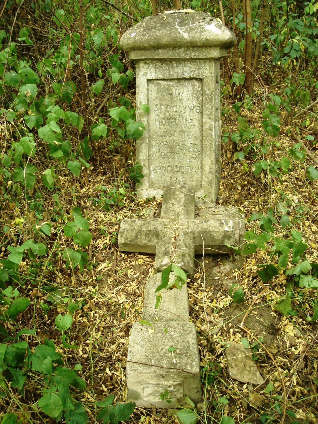 Tombstone of Rozalia Jusczyk, cemetery in Milovce, state from 2009