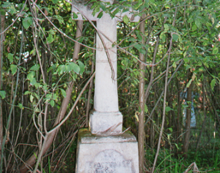 Nagrobek Henryka Trypczyńskiego