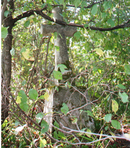 Nagrobek Anieli Zinkiewicz