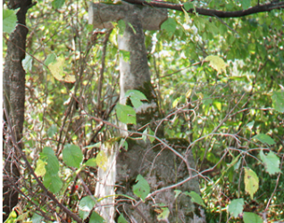 Nagrobek Anieli Zinkiewicz