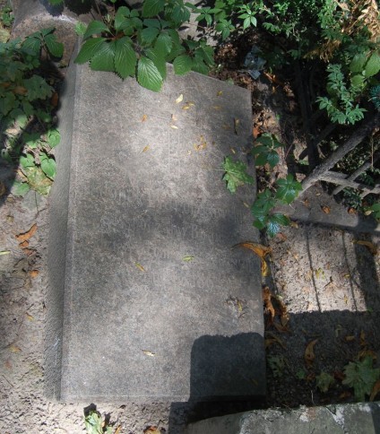 Nagrobek Leona Marcinkowskiego