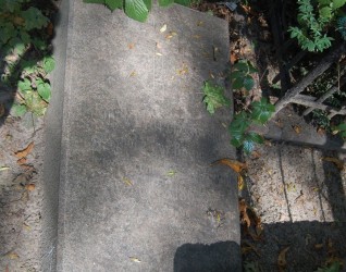 Nagrobek Leona Marcinkowskiego