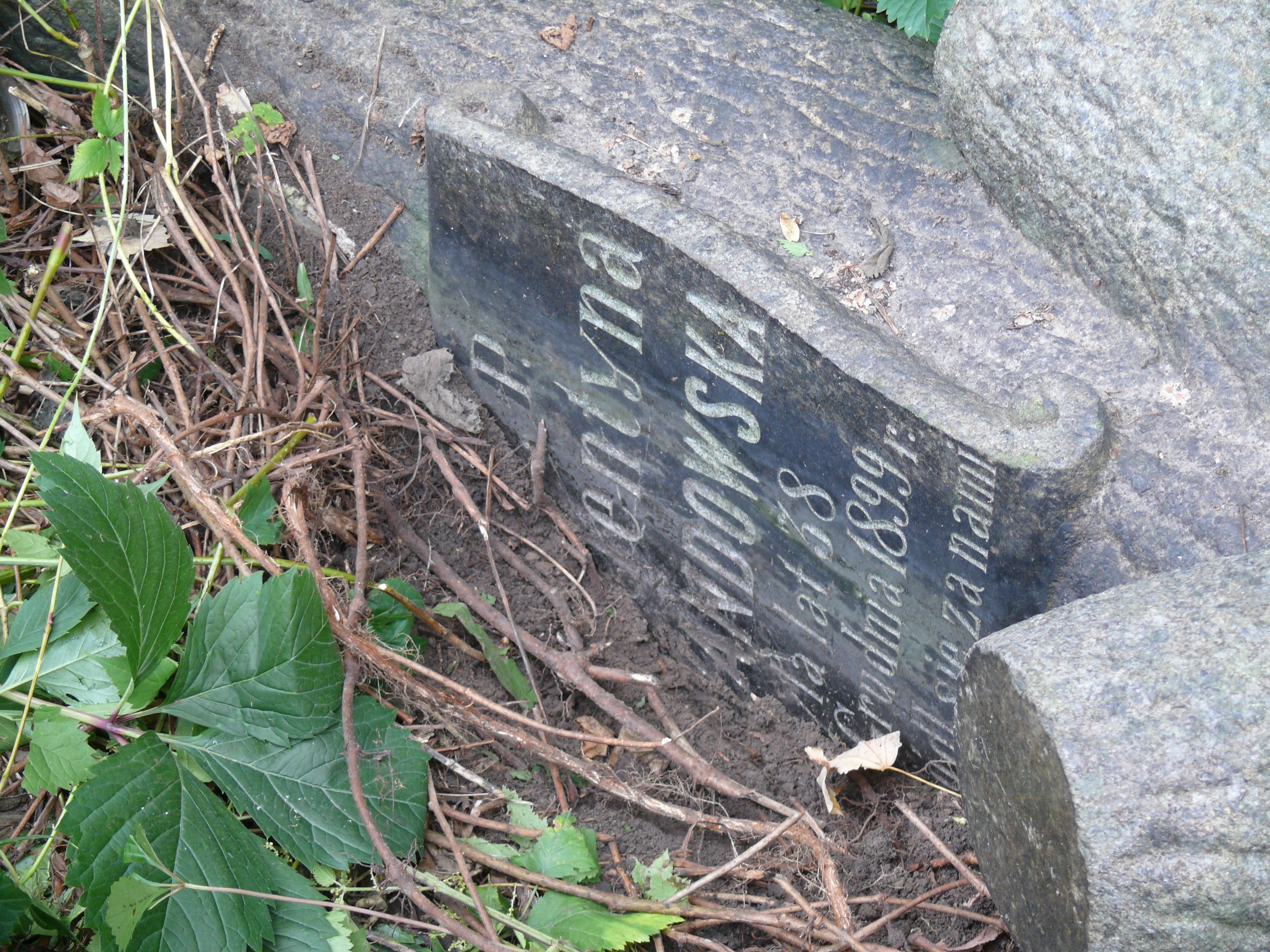 Fragment of Klementyna Lewandowska's tombstone