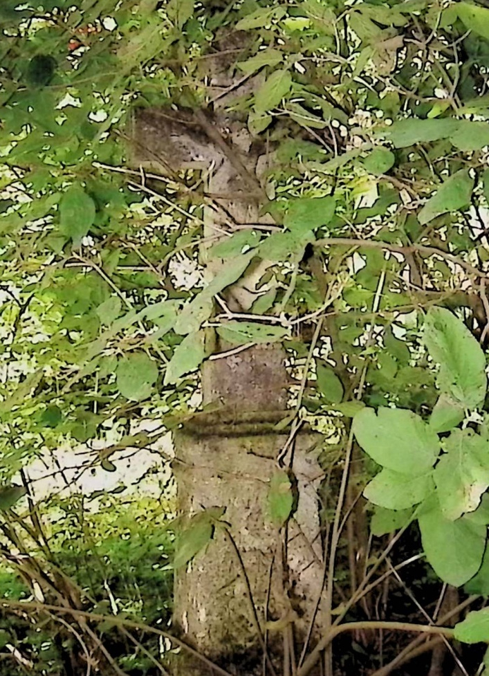 Fotografia przedstawiająca Nagrobek Marii Zimirskiej