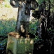 Photo montrant Tombstone of Katarzyna Żukorska