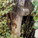 Photo montrant Tombstone of Anna and Francis N.N.