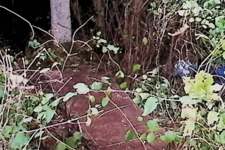 Zarośnięte miejsce pochówku z krzyżem na zwężającym się cokole. Krzyż ma półkoliste zakończenia i wyryte litery INRI. Poniżej czaszka z piszczelami i ryta inskrypcja.
