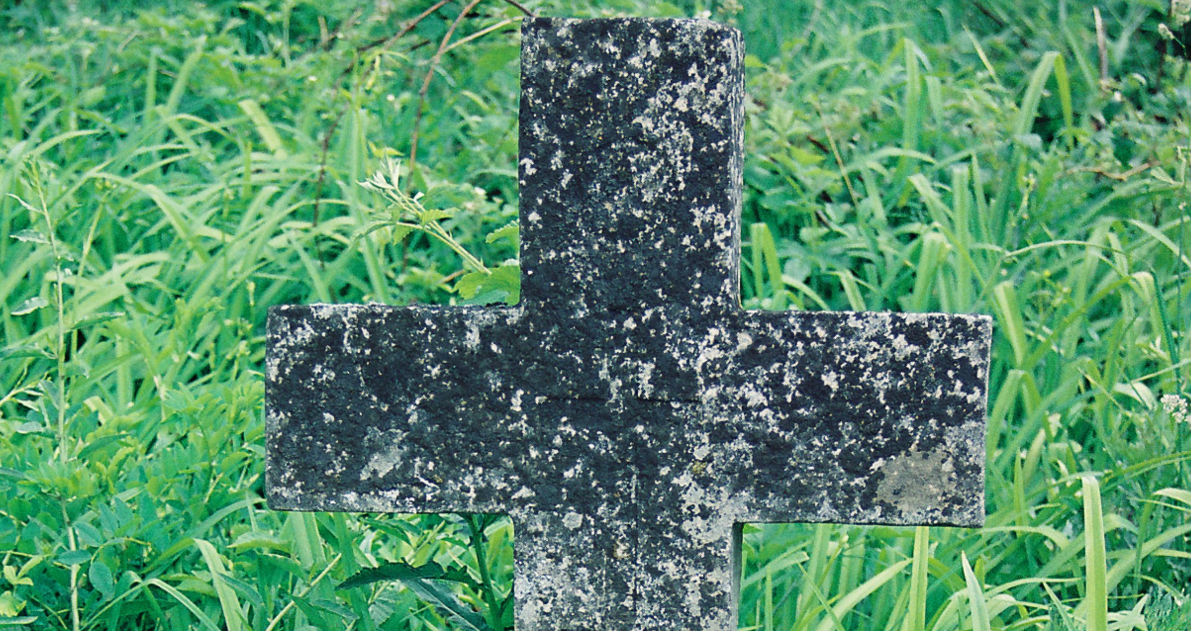 Photo showing Tombstone of Józefa Twerdochlip