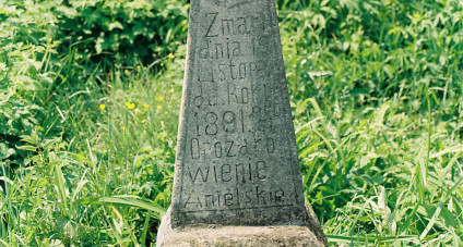 Nagrobek Ignacego Walkowa z krzyżem na cokole, zdobiony motywem trójliścia i grawerowanymi inskrypcjami. Otoczony trawą i roślinnością.