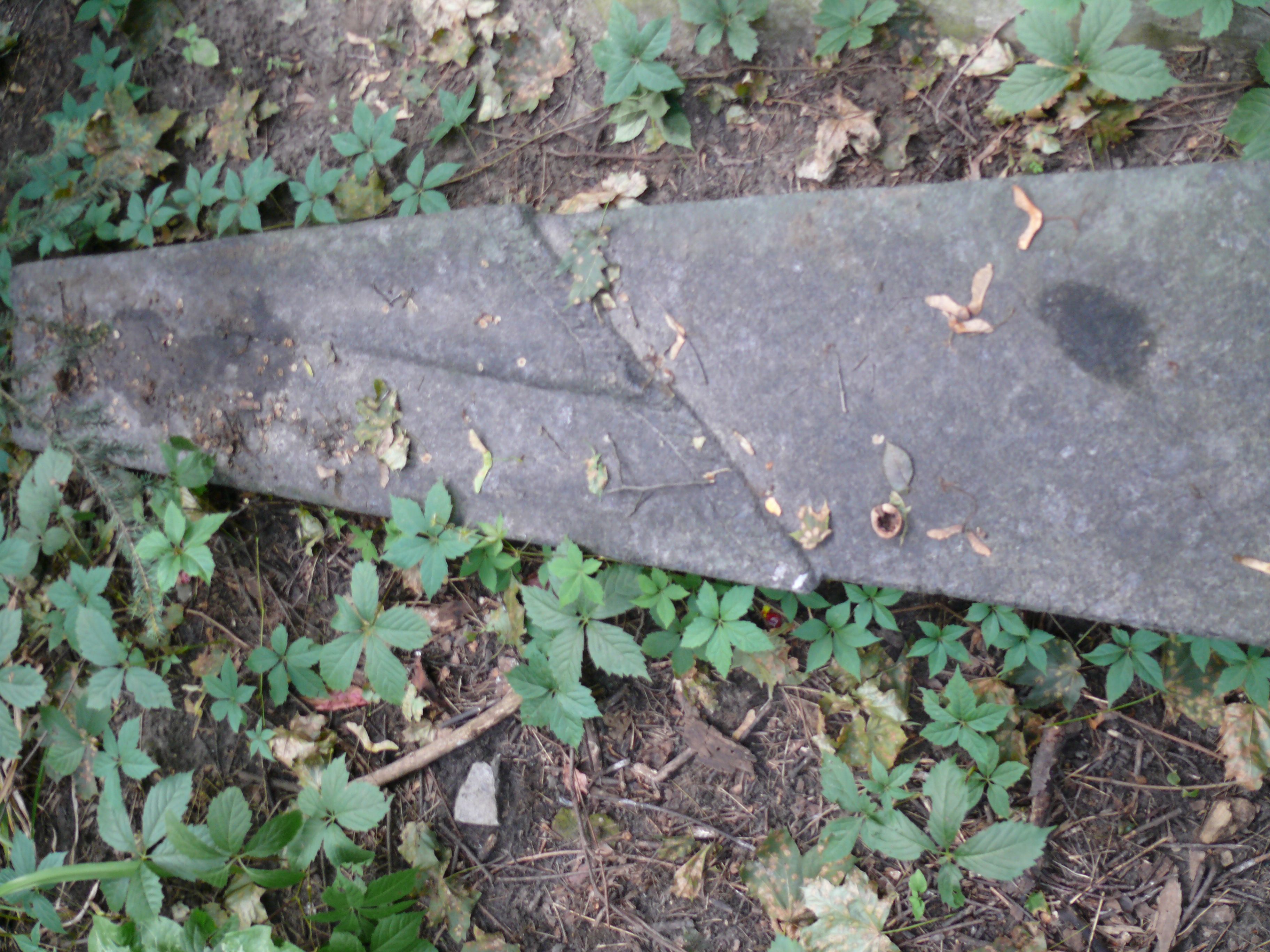 Fragment of the tombstone of Vincent and Helena Snezhko Blotsky, Bajkova cemetery, Kyiv, as of 2021