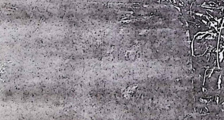 Kamienny cokół grobu Michała Batrzowskiego, prostokątny z wyrytą inskrypcją na przedniej płycinie. Oryginalny krzyż jest nieobecny.