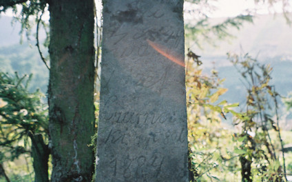 Nagrobek Józefa Czarneckiego oznaczony obeliskiem z inskrypcją z przodu. Obelisk otoczony drzewami i roślinnością.