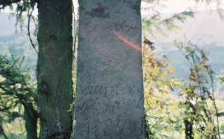 Nagrobek Józefa Czarneckiego oznaczony obeliskiem z inskrypcją z przodu. Obelisk otoczony drzewami i roślinnością.