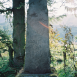 Photo showing Tombstone of Józef Czarnecki