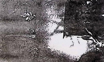 Część krzyża na cokole z wyrytą inskrypcją, otoczona roślinnością.