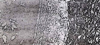 Fragment krzyża z zakończeniem w formie trójliścia i zdobieniem rozetą, z inskrypcją na szerszej dolnej części. Krzyż częściowo pokryty liśćmi.