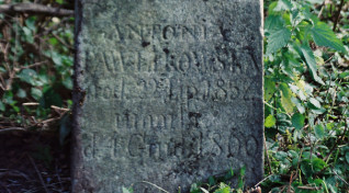 Nagrobek Antonii Pawlikowskiej z wyrytą inskrypcją, otoczony zielenią. Krzyż na szczycie jest ułamany, a cokół lekko zwężający się z profilowaną górną krawędzią.