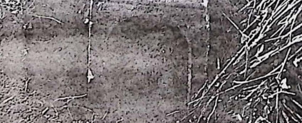 Kamienny cokół grobu Marii Posahoskiej, prostokątny z profilowanymi górnymi krawędziami. Na froncie płycina z łukowatą inskrypcją. Brak oryginalnego krzyża.