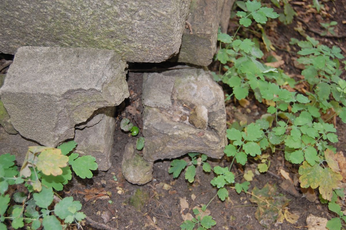 Fragment of the tomb of the Ivanitskiy family, Baykova cemetery, Kyiv, as of 2021