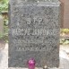 Fotografia przedstawiająca Tombstone of Narcisse Jankowski