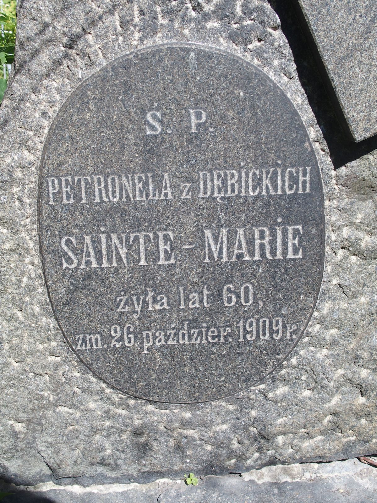 Fragment z inskrypcją nagrobka Petroneli Sainte-Marie, cmentarz Bajkowa w Kijowie, stan z 2021