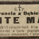 Fotografia przedstawiająca Tombstone of Petronella Sainte-Marie