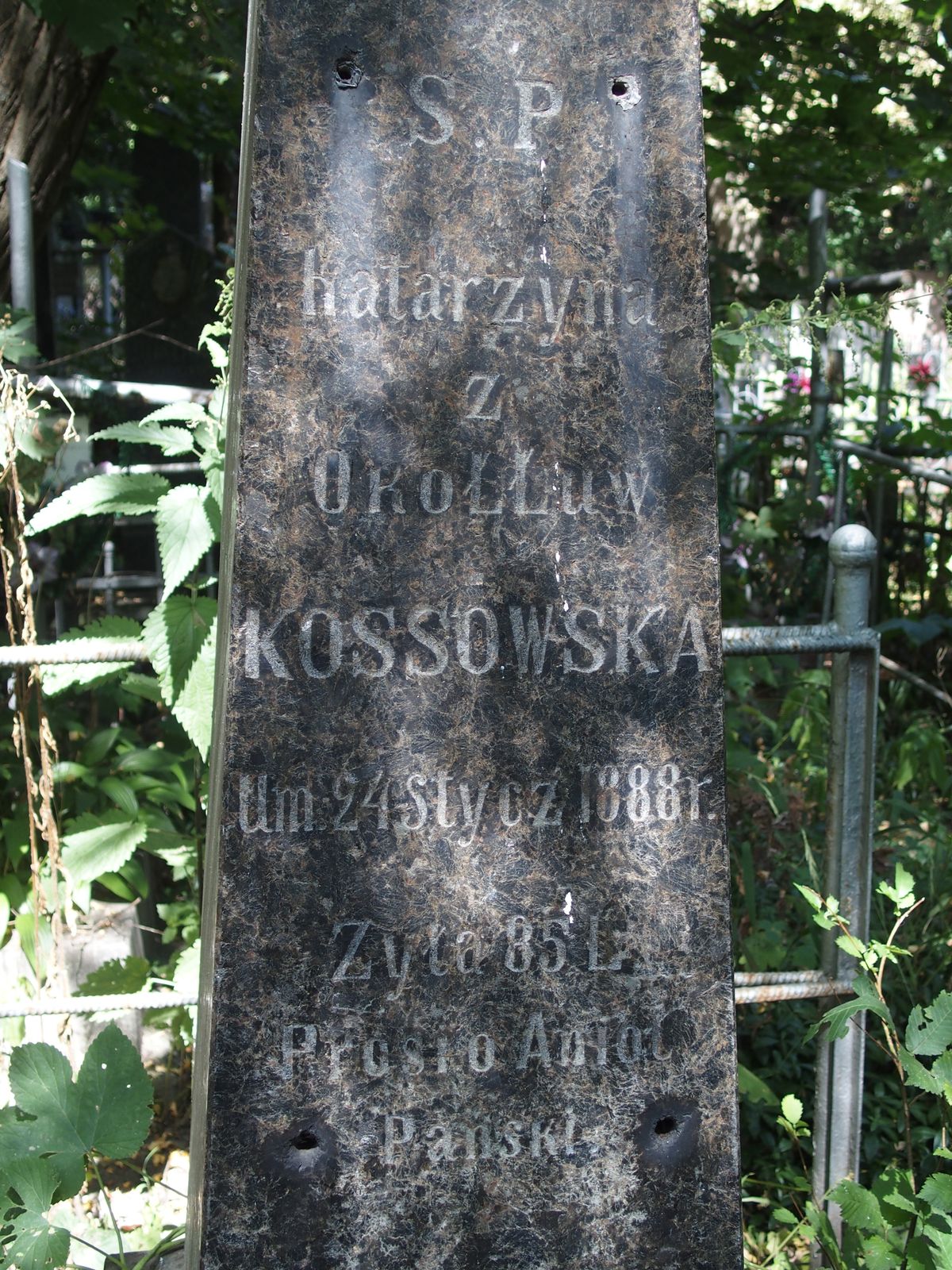 Fragment nagrobka Katarzyny Kossowskiej, cmentarz Bajkowa w Kijowie, stan z 2021