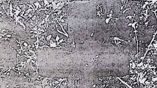 Nagrobek z fazowanym krzyżem na cokole. Cokół w kształcie prostopadłościanu z profilowanymi górnymi krawędziami. Na przedniej płycinie ryta inskrypcja zamknięta schodkowo.