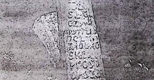 Nagrobek Petroneli Ziółkowskiej z wyrytym krzyżem na cokole. Krzyż flankowany u podstawy przez małe ćwierćwałki, z inskrypcją na pionowej belce. Cokół nie zachowany.