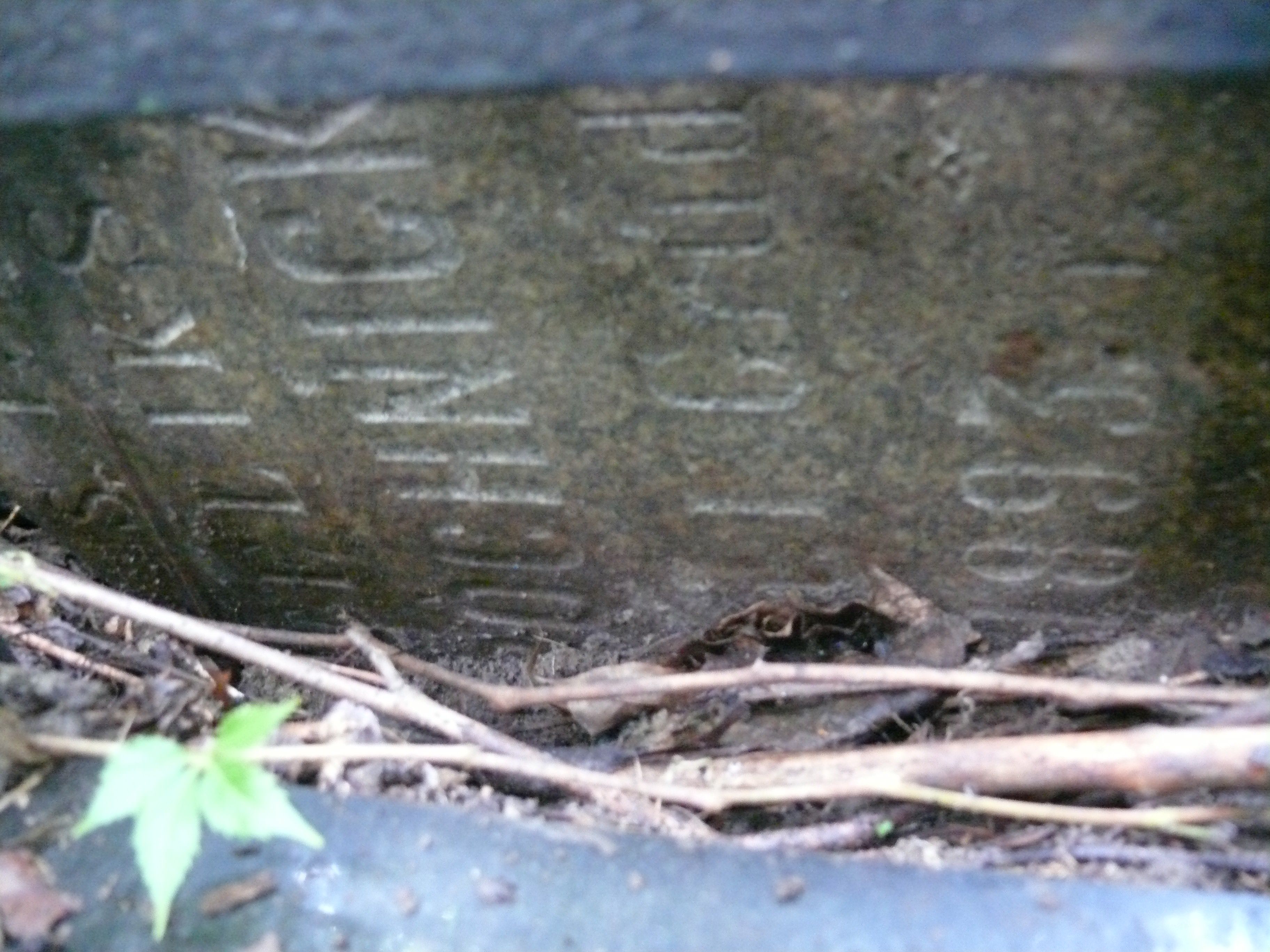 Fragment nagrobka Feliksa Próchnickiego, cmentarz Bajkowa w Kijowie, stan z 2021