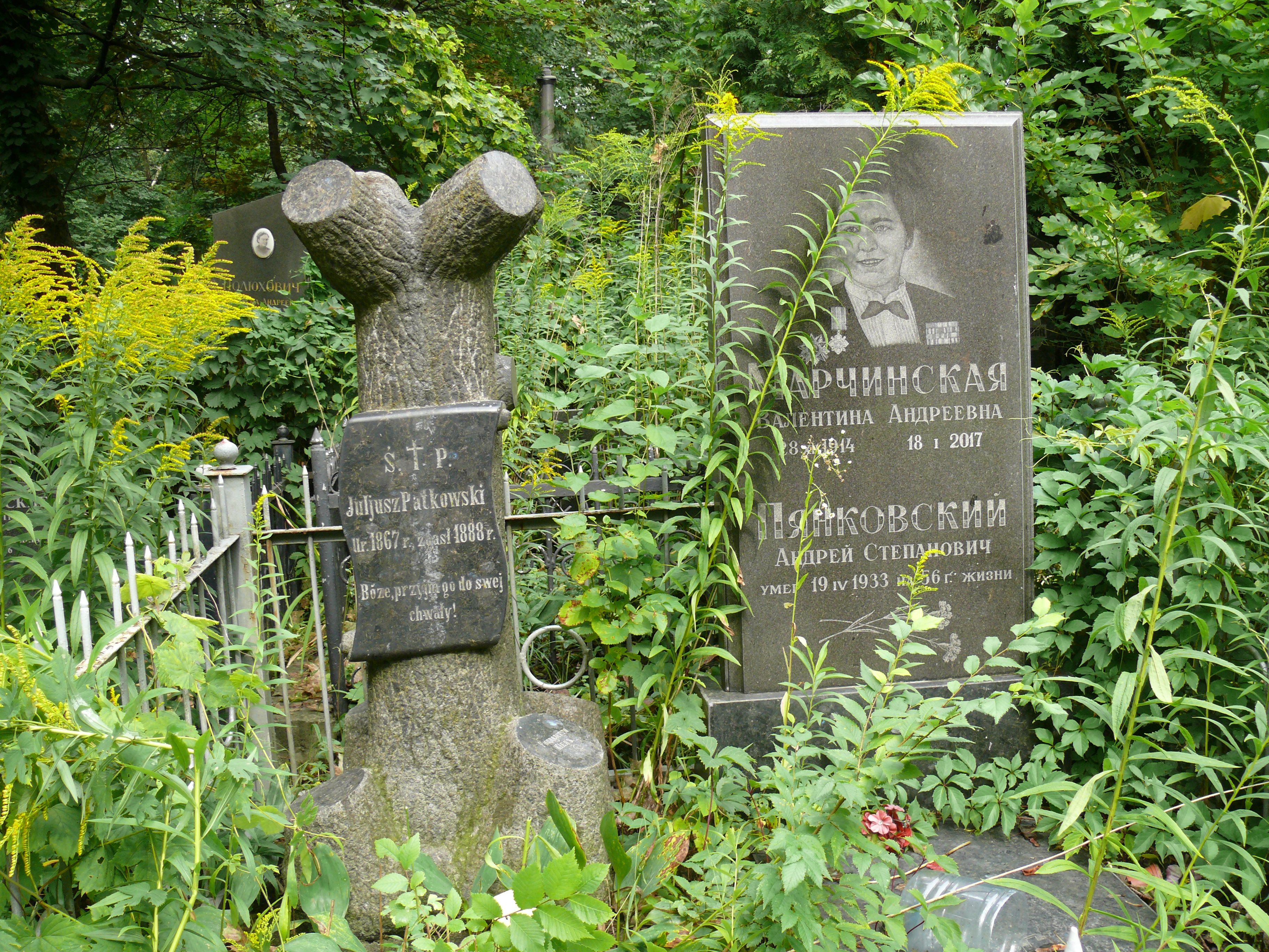 Nagrobek Juliusza Patkowskiego, cmentarz Bajkowa w Kijowie, stan z 2021