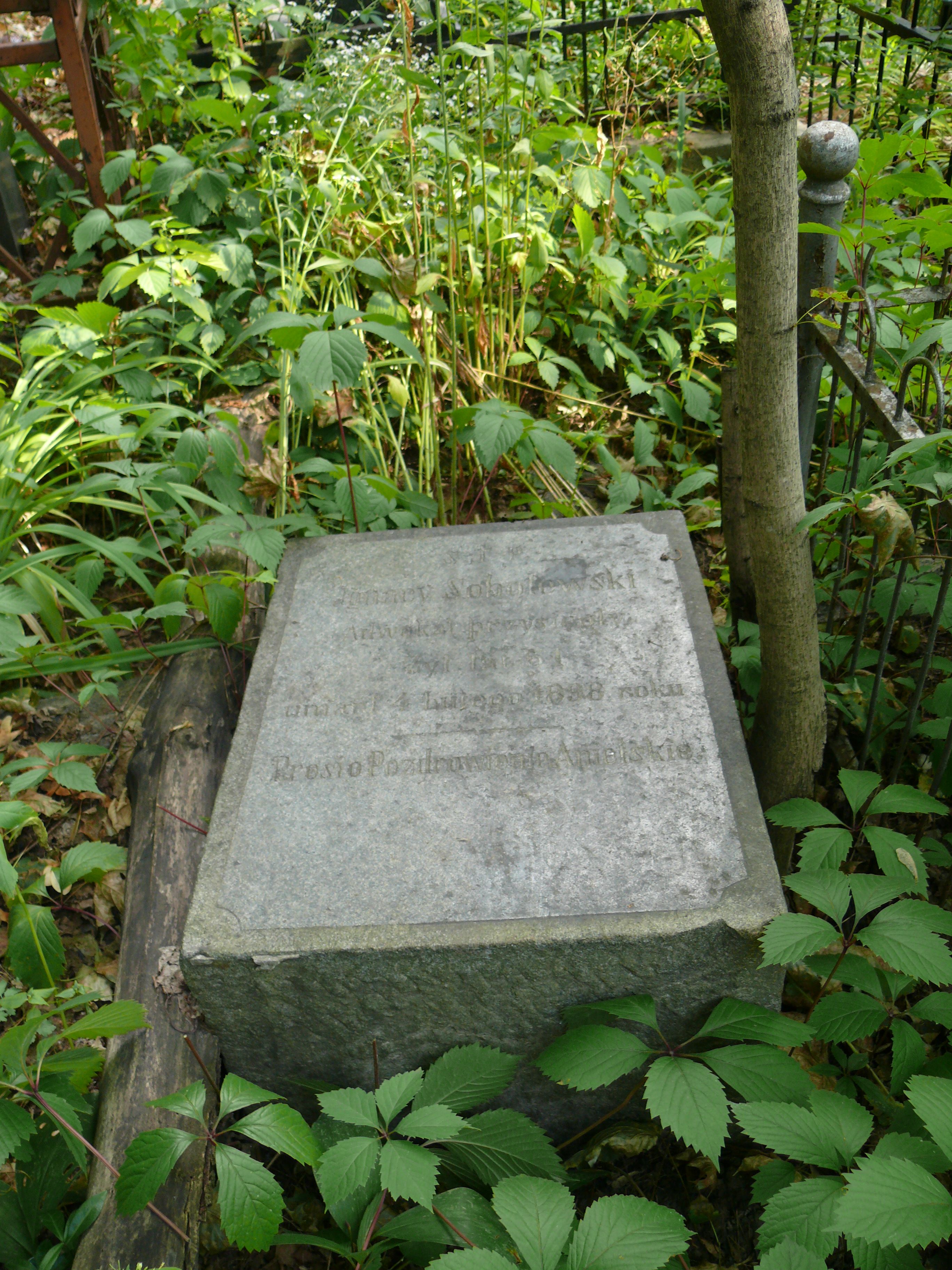 Tombstone of Ignacy and Sophia Sobolevsky, Baikal cemetery, Kyiv, 2021