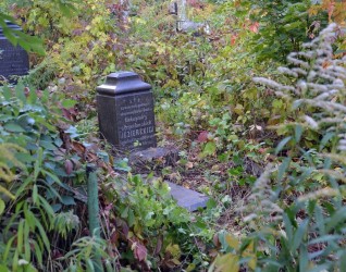 Nagrobek Aleksandry Jezierskiej, cmentarz Bajkowa w Kijowie, stan z 2021