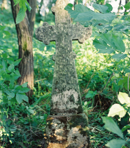 Nagrobek Franciszki Posyniak, cmentarz w Muszkatówce, stan z 2004 r.