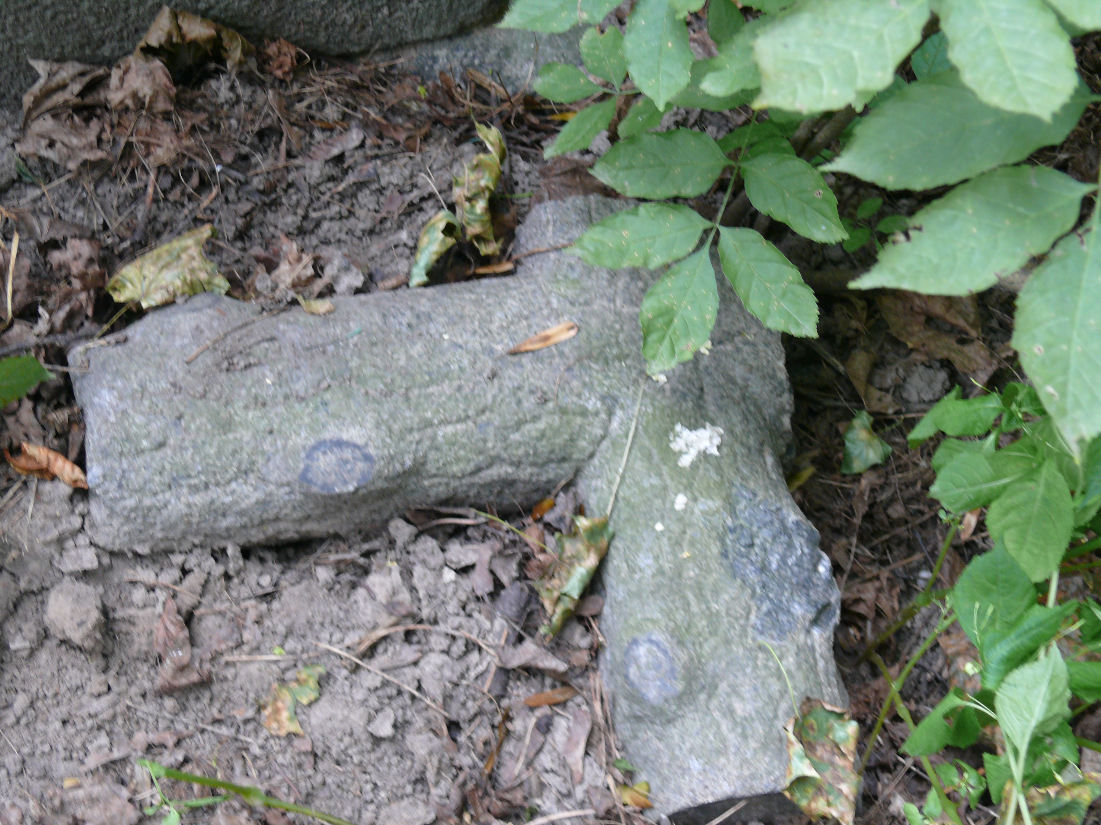 Fragment of the tombstone of Xavier and Felicia Vrzeszh, Bajkova cemetery, Kyiv, 2021