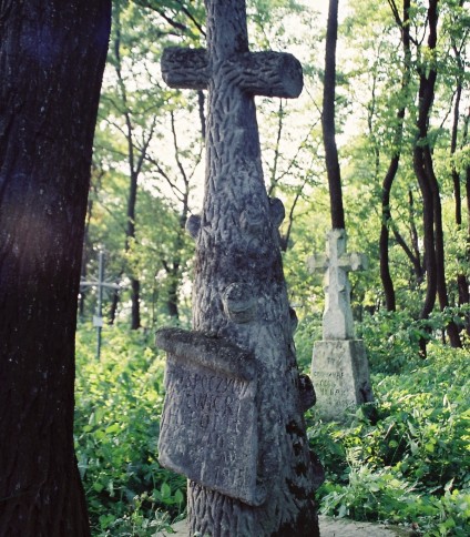 Nagrobek Hipolita Witwickiego, cmentarz w Muszkatówce