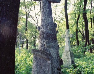 Nagrobek Hipolita Witwickiego, cmentarz w Muszkatówce