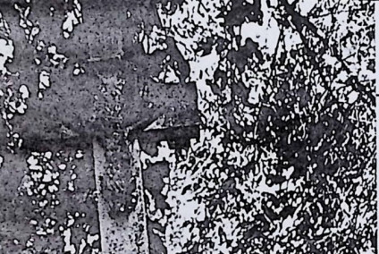 Nagrobek oznaczony krzyżem na cokole. Krzyż z reliefem Chrystusa i titulusem. Cokół prostokątny z profilowanymi górnymi krawędziami i frontową płytą z rytą inskrypcją.