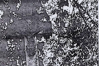 Nagrobek oznaczony krzyżem na cokole. Krzyż z reliefem Chrystusa i titulusem. Cokół prostokątny z profilowanymi górnymi krawędziami i frontową płytą z rytą inskrypcją.