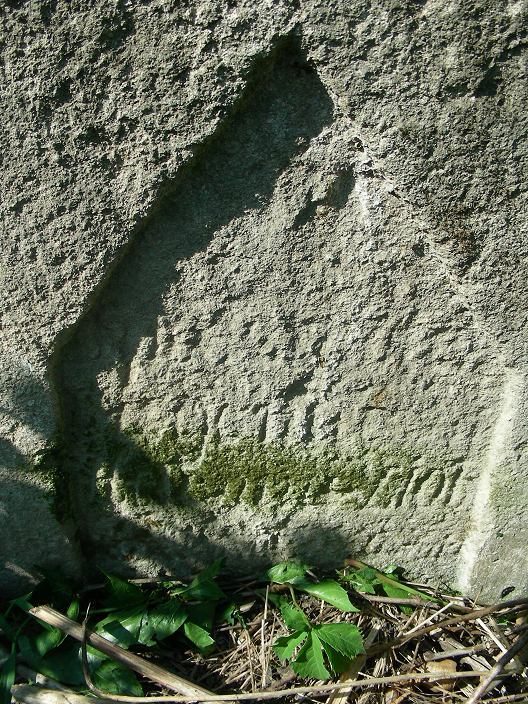 Nagrobek Heleny Ziół[kowskiej], cmentarz w Zaleszczykach, stan z 2019 r.