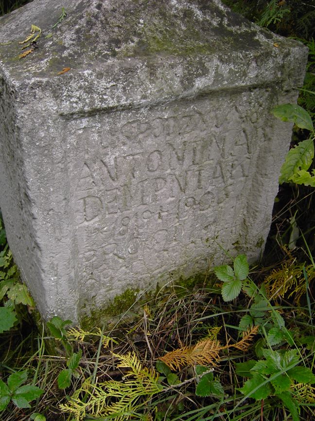 Tombstone of Antonina Dempniak, cemetery in Zaleszczyki, state from 2005
